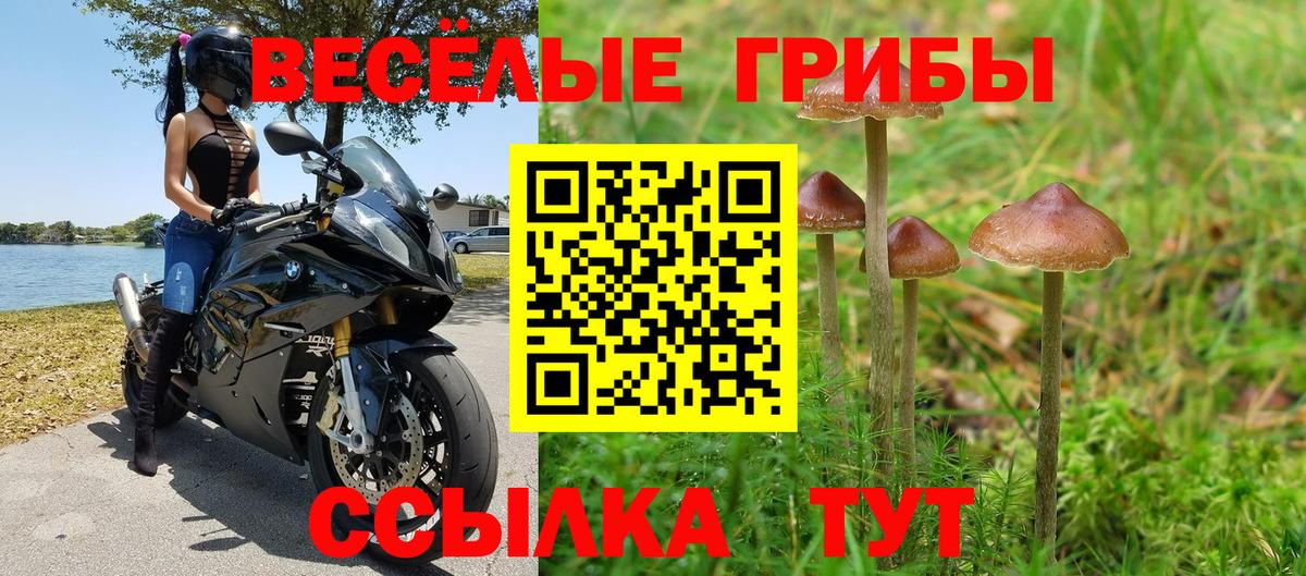 Псилоцибиновые грибы Magic Shrooms Петропавловск-Камчатский