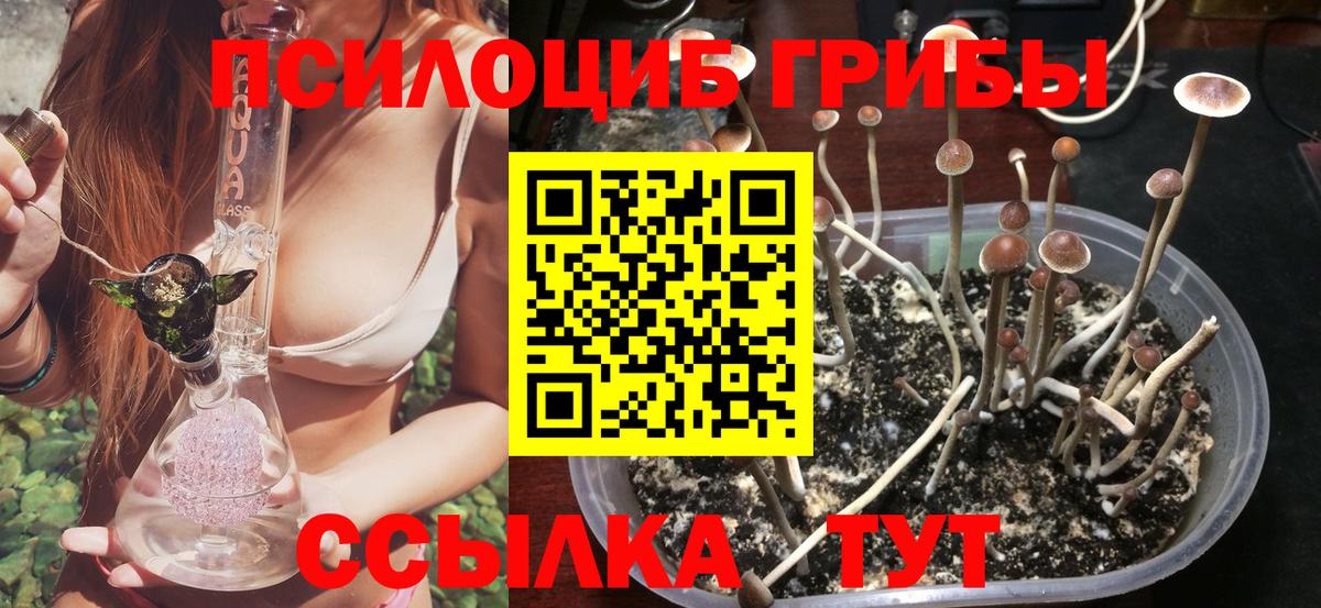 Галлюциногенные грибы ЛСД  Вход с VPN  Петропавловск-Камчатский  Галлюциногенные грибы ЛСД 